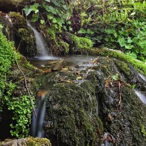 Test de la pause longue, 07/17 #reims #water #green #nature